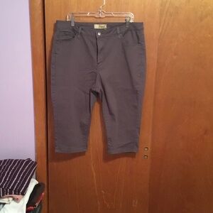 Hybrid & Company  Capris